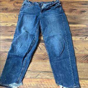 American Eagle Outfitters Dark Wash Cropped Jeans